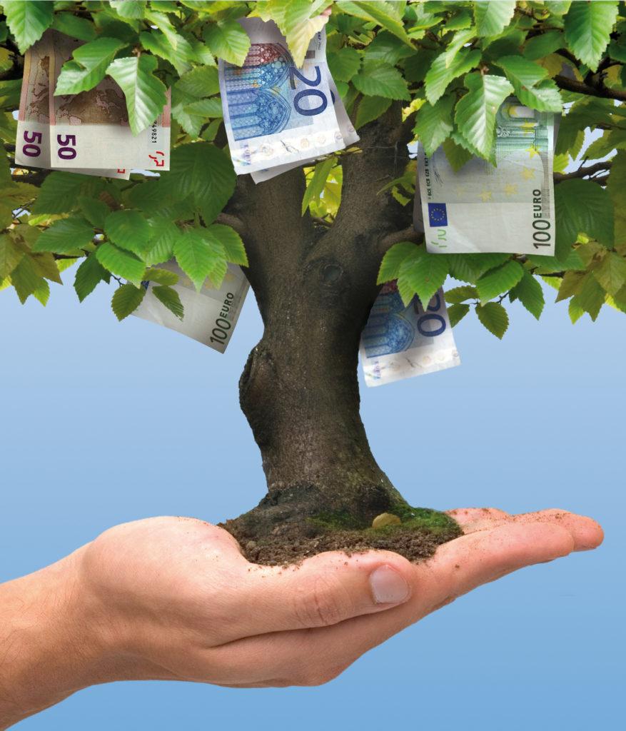 כסף לא צומח על העצים - זכאות לאזרחות פורטוגלית - עו