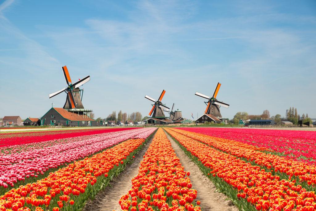 תחנות רוח בהולנד - עו
